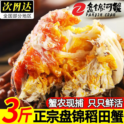 盘锦鲜活大闸蟹顺丰包邮