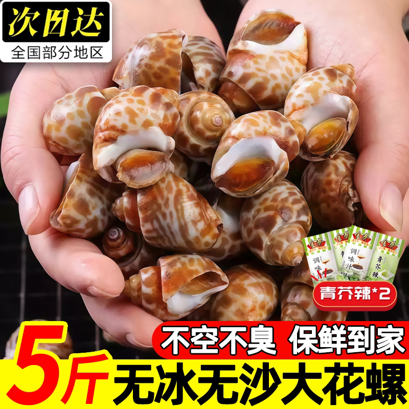 广西北海鲜活花螺5斤批发