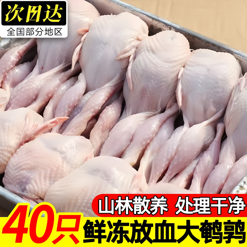 农家散养现杀大号整只鹌鹑冰鲜