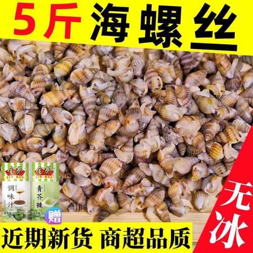 海瓜子鲜活新鲜冷冻海锥海瓜子熟冻海螺蛳海锥海螺贝类海鲜水产