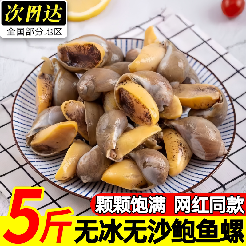 丹东冷冻黄鲍鱼螺超大号批发