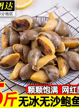 丹东冷冻黄鲍鱼螺超大号批发