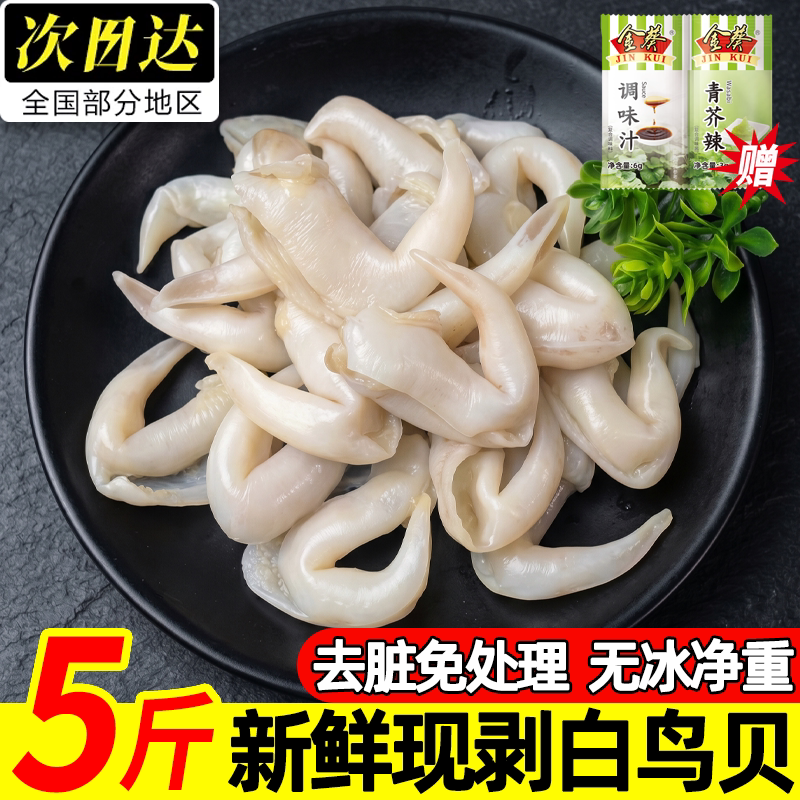 冷冻白鸟贝肉特大去内脏无沙