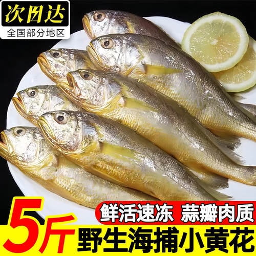 小黄花鱼海捕黄鱼冷冻水