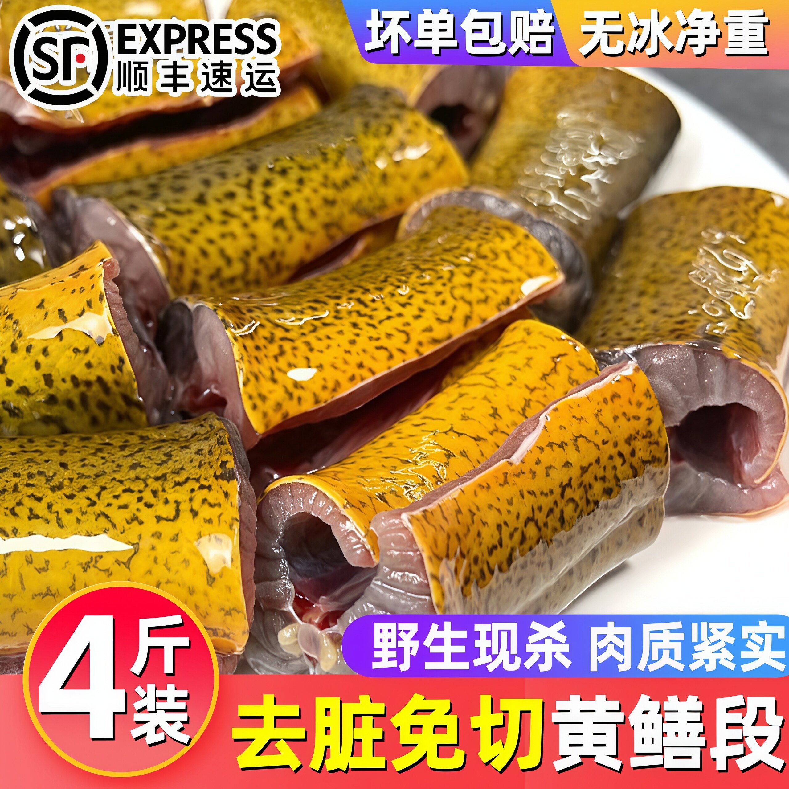 新鲜无冰黄鳝段鲜活现杀去头内脏冷冻鳝鱼段黄鳝肉半成品年货批发
