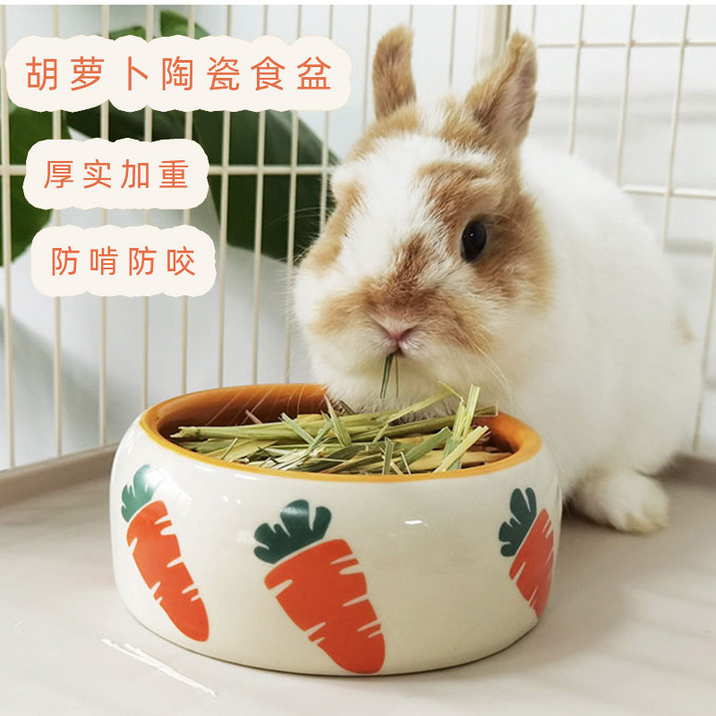 宠物胡萝卜陶瓷食盆兔子龙猫豚鼠卡通食碗防啃防咬加重碗饭盆碗