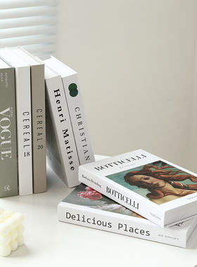 现代简约仿真书假书摆件玄关酒柜餐边柜客厅家居软装办公室装饰品