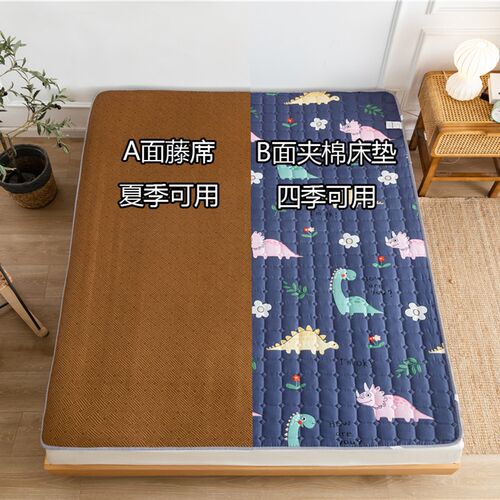 凉席床垫家用双两面藤席凉席冬夏季两用草席折叠学生宿舍单人软垫