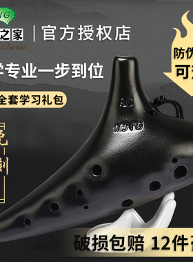 台湾TNG12孔AC中音C/F调SC高音学生初学陶笛故乡的原风景熏烧乐器