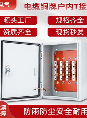 矿物质电缆t接分支箱汇流绝缘转化低压bttrz楼层分流线端子配电箱