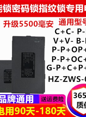 ZNS-09B指纹锁电池ZWS-001密码锁004电子锁智能门锁专用电池09A/F