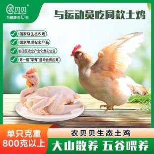 农贝贝正宗土鸡现杀农家散养120天走地三黄鸡非月子鸡整只发顺丰