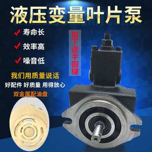 F20 F30 F12 02A F15 变量叶片泵液压压力油泵VPVC F40