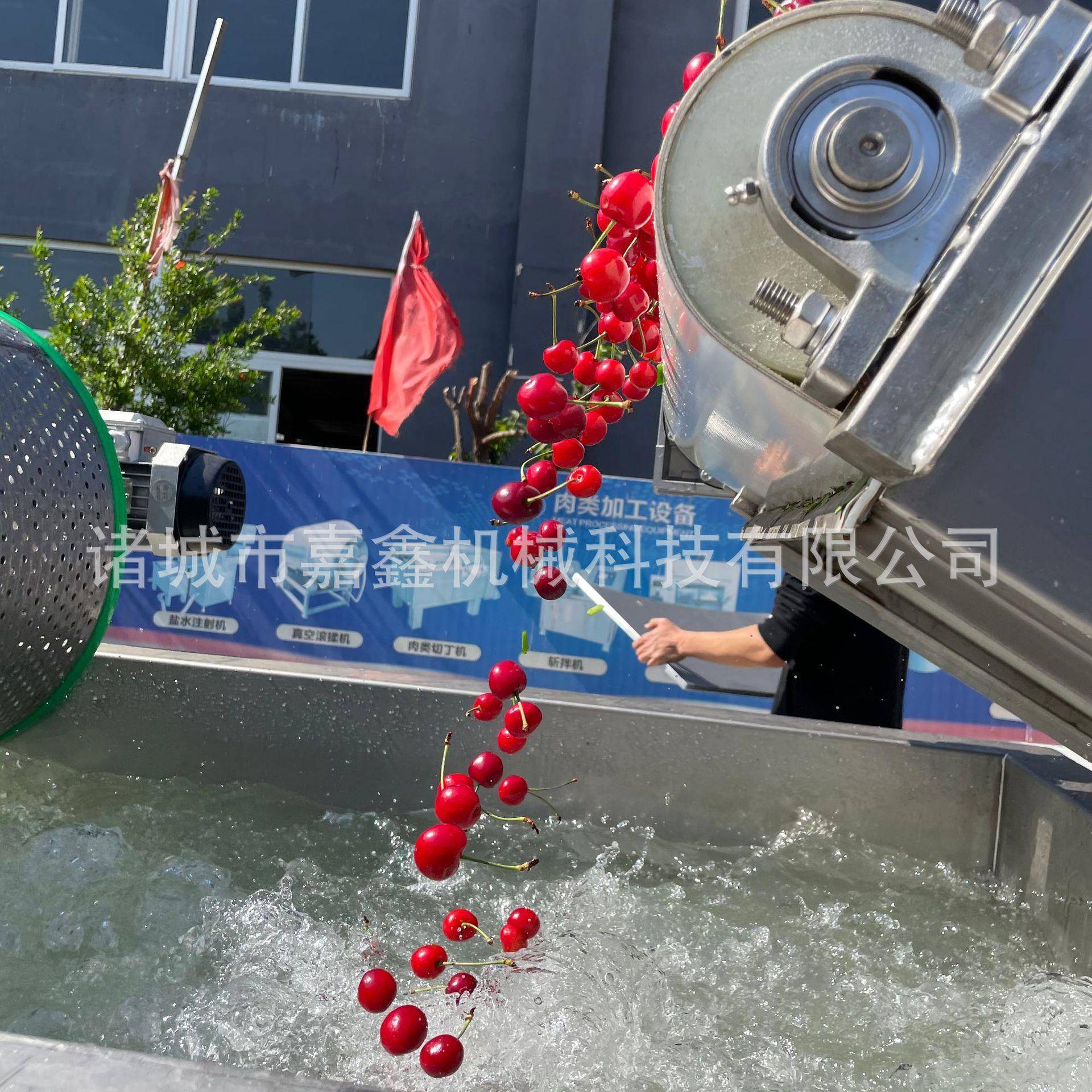 土豆丝笋丝木耳丝涡流清洗机全自动蔬菜配送臭氧杀菌旋流清洗机