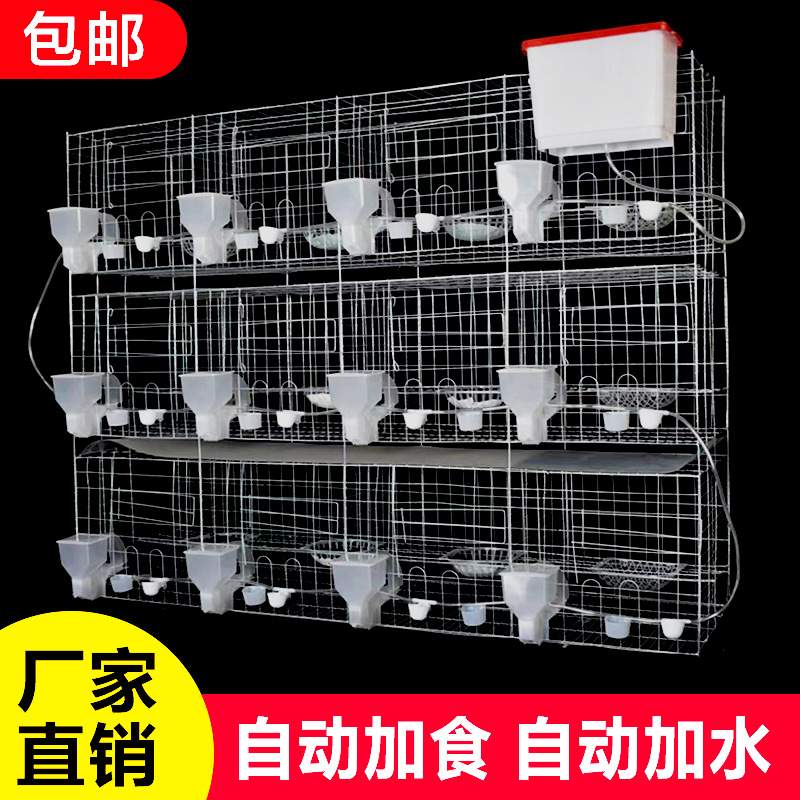 鸽子笼家用特大号鸽子笼子繁殖配对养殖笼肉种鸽元宝养鸽子笼