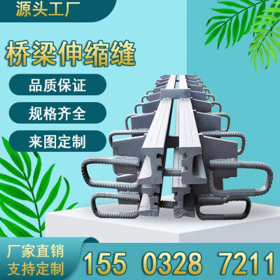 桥梁型钢伸缩缝防水密封胶条梳齿板GQFC40D80E60F160型收缩缝RG型