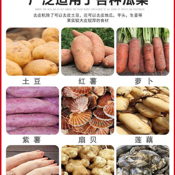 土豆清洗去皮清洗机商用不锈钢全自动洋芋莲藕红薯清洗去皮一体机