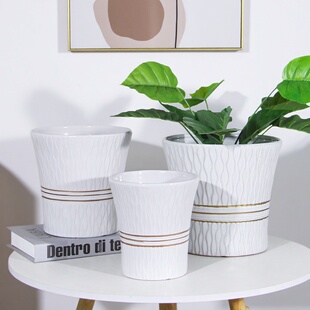 花盆陶瓷轻奢高级感纯白色蝴蝶兰花绿萝大小盆栽家用桌面带托盘