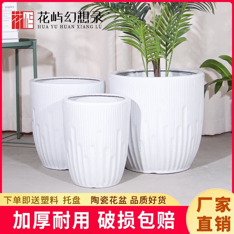 陶瓷大花盆白色高端简约百搭家用客厅落地兰花虎皮兰天堂鸟大绿植图片