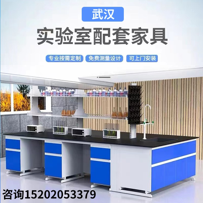 武汉实验台工作台防腐试验桌钢木中央台边台通风橱柜化验室天平台图片
