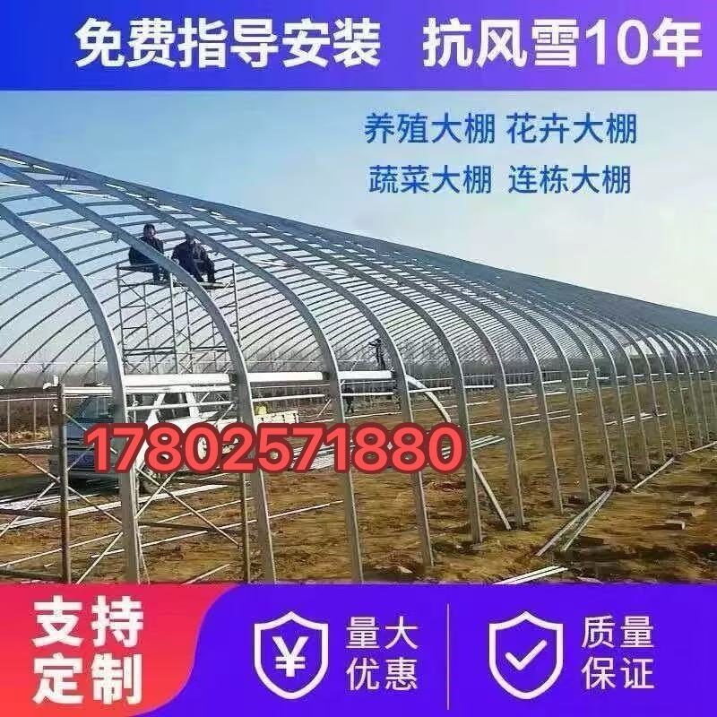 养殖大棚全套养鸡大棚骨架养猪牛羊大棚钢管养鸭鹅棚家用温室大棚