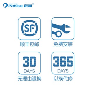 美国派斯无盐软水机SSP-100/200/300 家用中央全屋阻垢器
