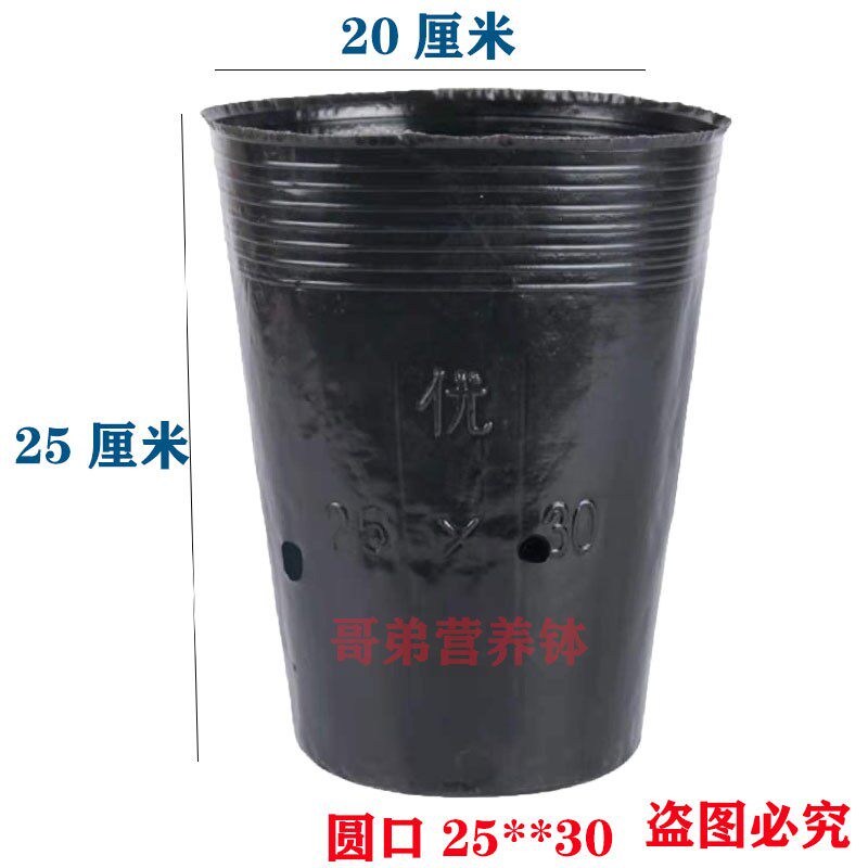 柑橘育苗钵加厚塑料营养袋方口脐橙育苗营养钵厂家直销育苗袋提根