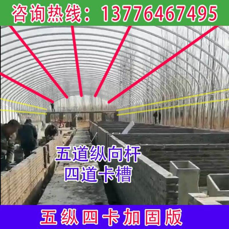 养殖大棚骨架钢管蔬菜温室羊鸡养猪养牛搭建椭圆种植保温架子全套