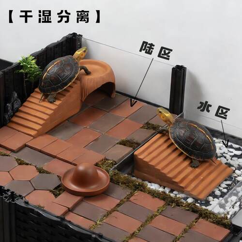 乌龟饲养箱造景水陆分离爬梯黄缘半水龟缸高水位爬台晒台产蛋专用