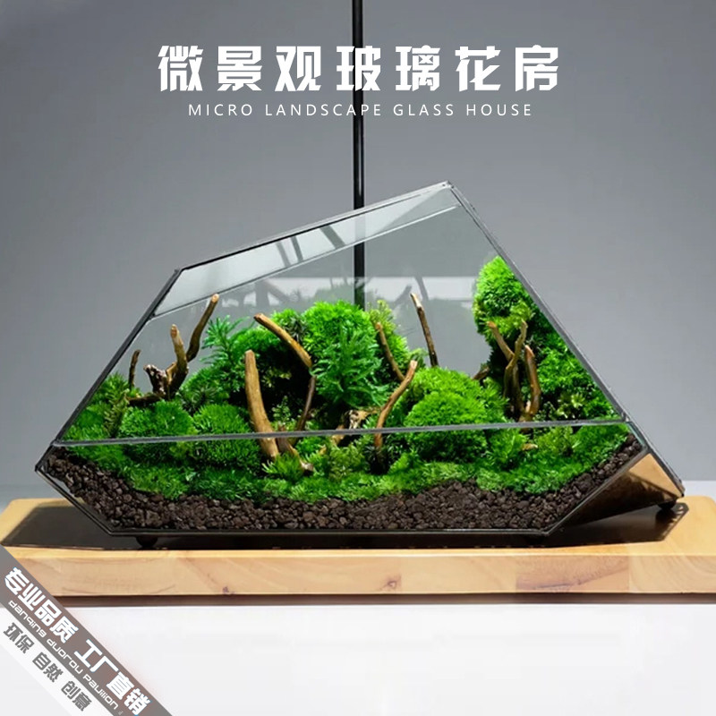 苔藓微景观玻璃生态瓶 北欧风格桌面迷你小盆景造景雨林水陆缸