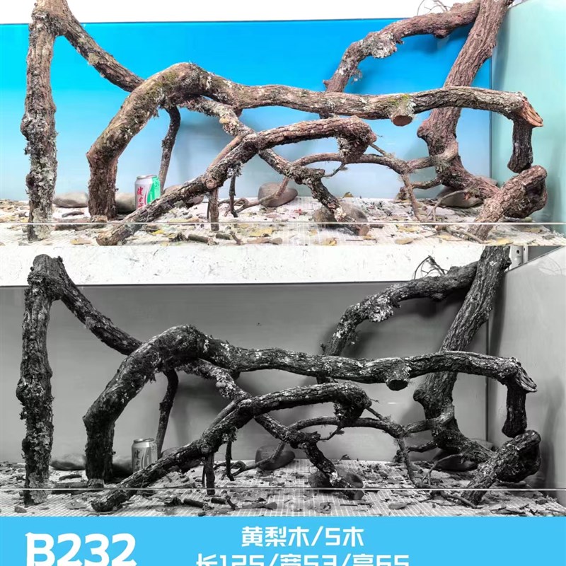 黄梨枝造景鱼缸沉木鹿角枝黄梨木枝条原生缸雨林缸爬宠原生态景观
