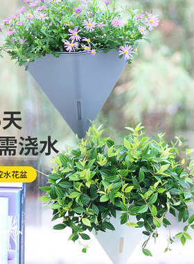 壁挂懒人自吸水挂篮水培盆绿植绿萝花盆吊盆挂墙挂式吊篮灰色挂盆