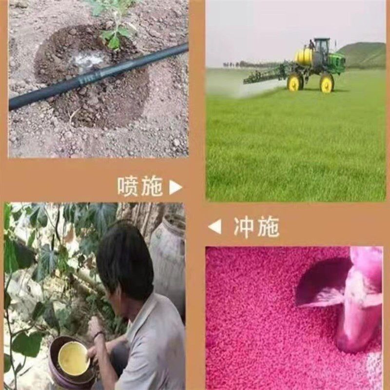 磷酸一铵农用水溶肥磷肥氮肥水溶肥果树花卉农作物通用全水溶肥料