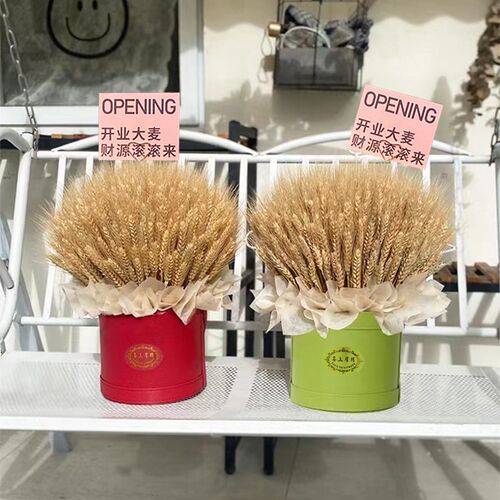 天然大麦干花家居装饰品麦穗拍摄道具ins风森系装饰开业花篮摆件