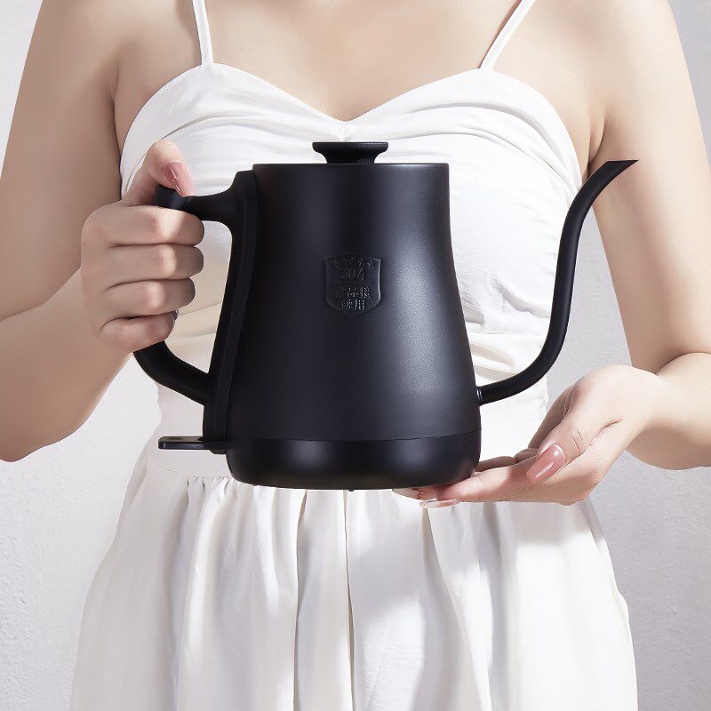 细长嘴电热水壶温控小型快速煮水随手泡烧水壶泡茶专用手冲咖啡壶