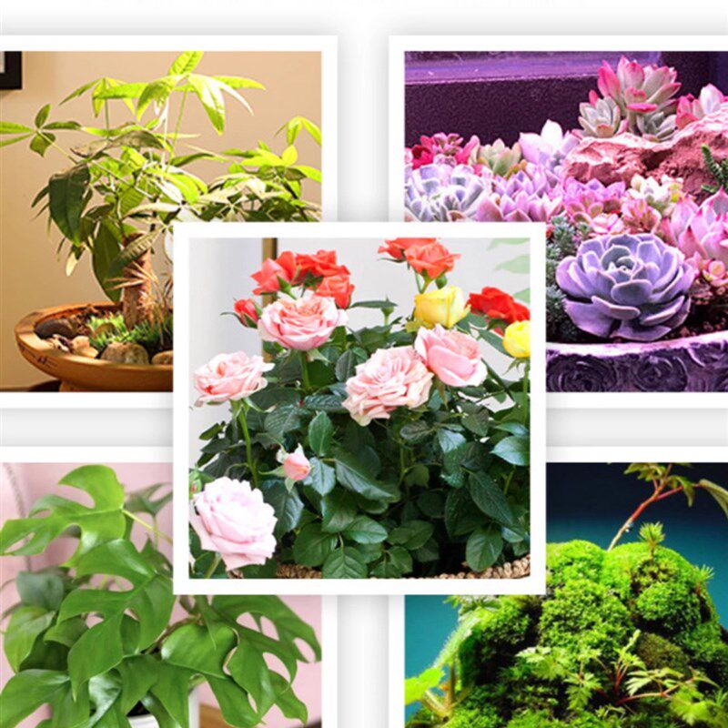 全光谱植物生长灯室内绿植补光灯具多肉植物用生长灯钢材质落地植