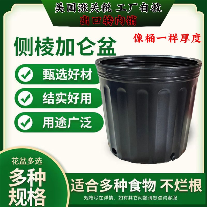 黑色加仑盆加厚软塑料花盆阳台育苗杯防老化重复使用育苗盆营养钵