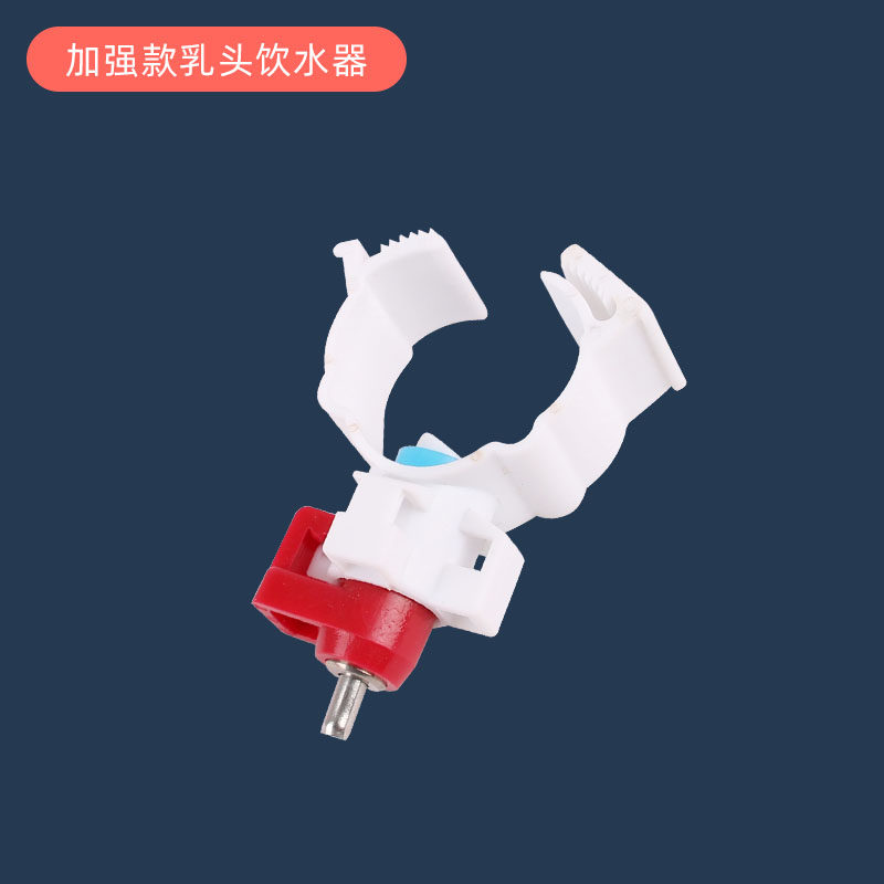 新型育雏水碗 雏鸡自动饮水器乳头饮水碗 接水杯小鸡鸭鹅育雏水碗