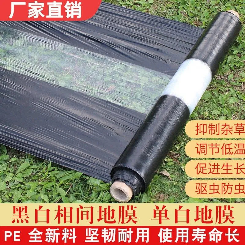 农用黑白相间地膜双白单白地膜银黑双色反光膜大棚膜塑料薄膜防渗