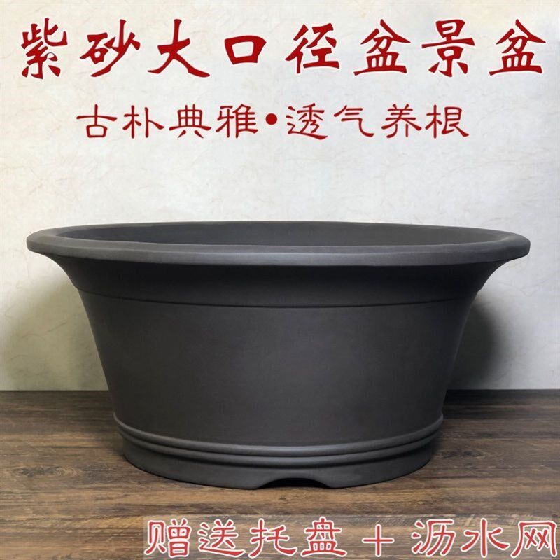 古法养鱼造景盆大口径紫砂无孔花盆菖蒲盆水陆缸假山盆观背青鳉盆
