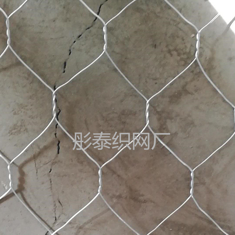 冷热镀锌铁丝网围栏养殖网拧花网圈羊网六角网狗笼加硬加粗网石笼