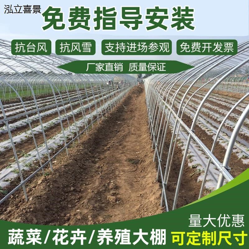 温室蔬菜大棚钢管骨架家用户外种植支架拱杆冷棚骨架养殖大棚全套
