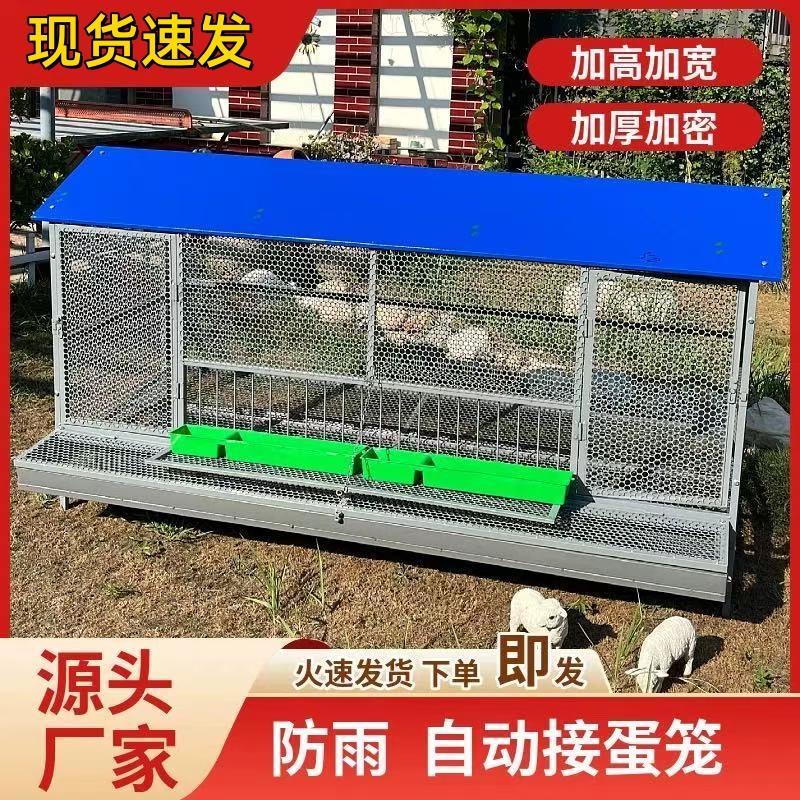 尖顶自动接蛋款室外家用防黄鼠狼饲养笼鸽子鸭兔芦鸡鹅下蛋养殖笼