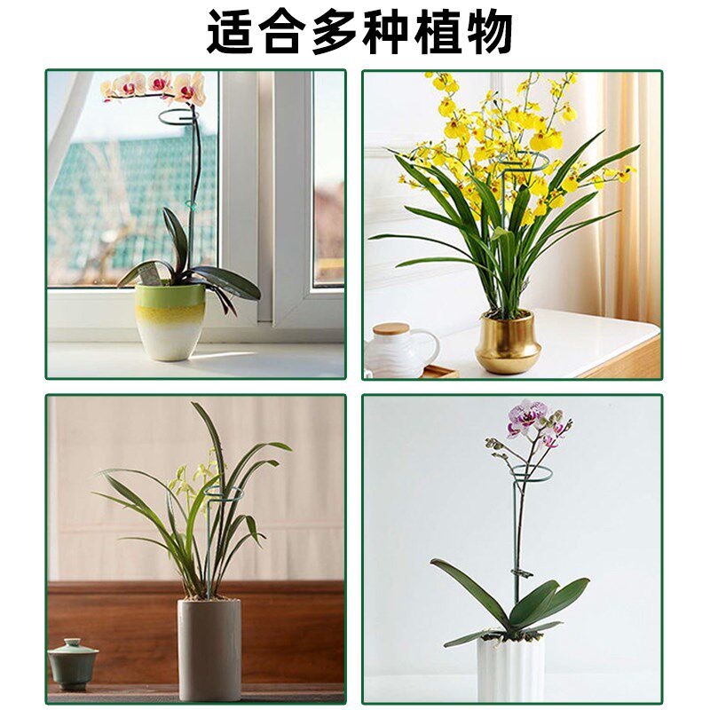 植物防倒伏支架铁艺绣球吊兰支撑杆园艺固定架爬藤花卉朱顶红花架