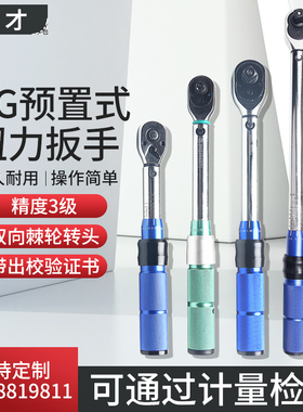 亿才TG型预置式扭力扳手5-60N.M双向棘轮扳手扭矩扳手100公斤