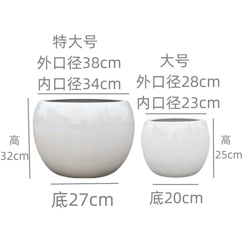 北欧简约圆球大号花盆陶瓷客厅绿植阳台千年木特大口径38种树盆栽