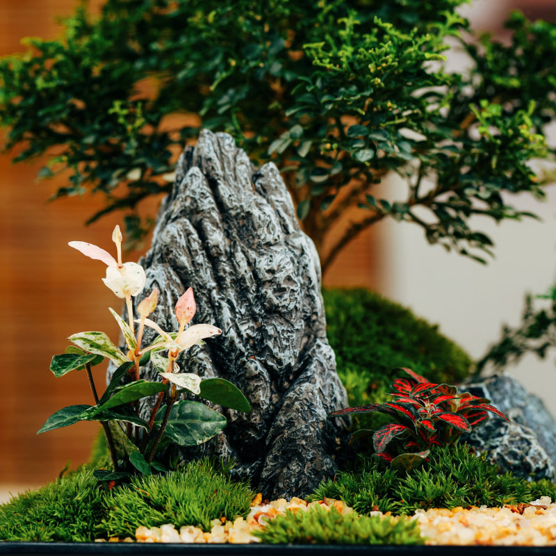 山间竹林微景观四季常青花卉盆栽盆景室内办公室桌面文竹净化空气