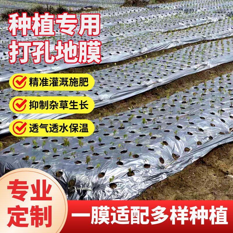 打孔银黑地膜农用打孔地膜有孔除草地膜银黑双色反光种菜专用地膜