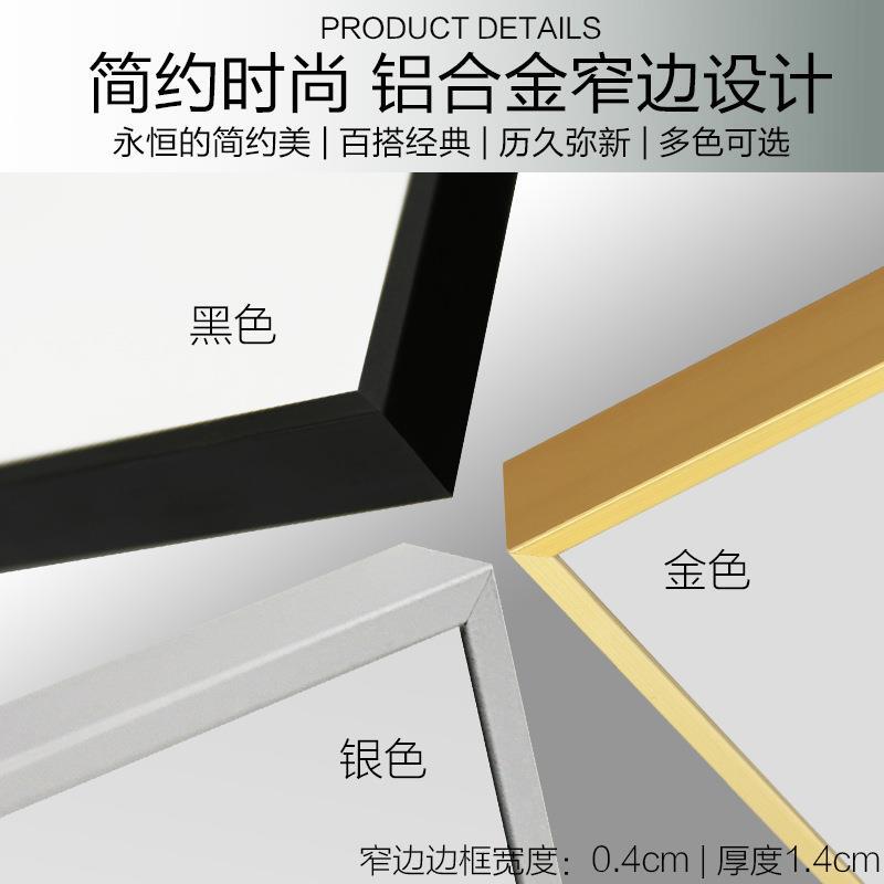 BOLEN全身镜穿衣镜落地镜卧室家用服装店壁挂支架挂墙ins风大镜子