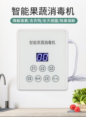 400mg臭氧发生器(15升)家用洗菜消毒机果蔬解毒机鱼缸水池消毒器